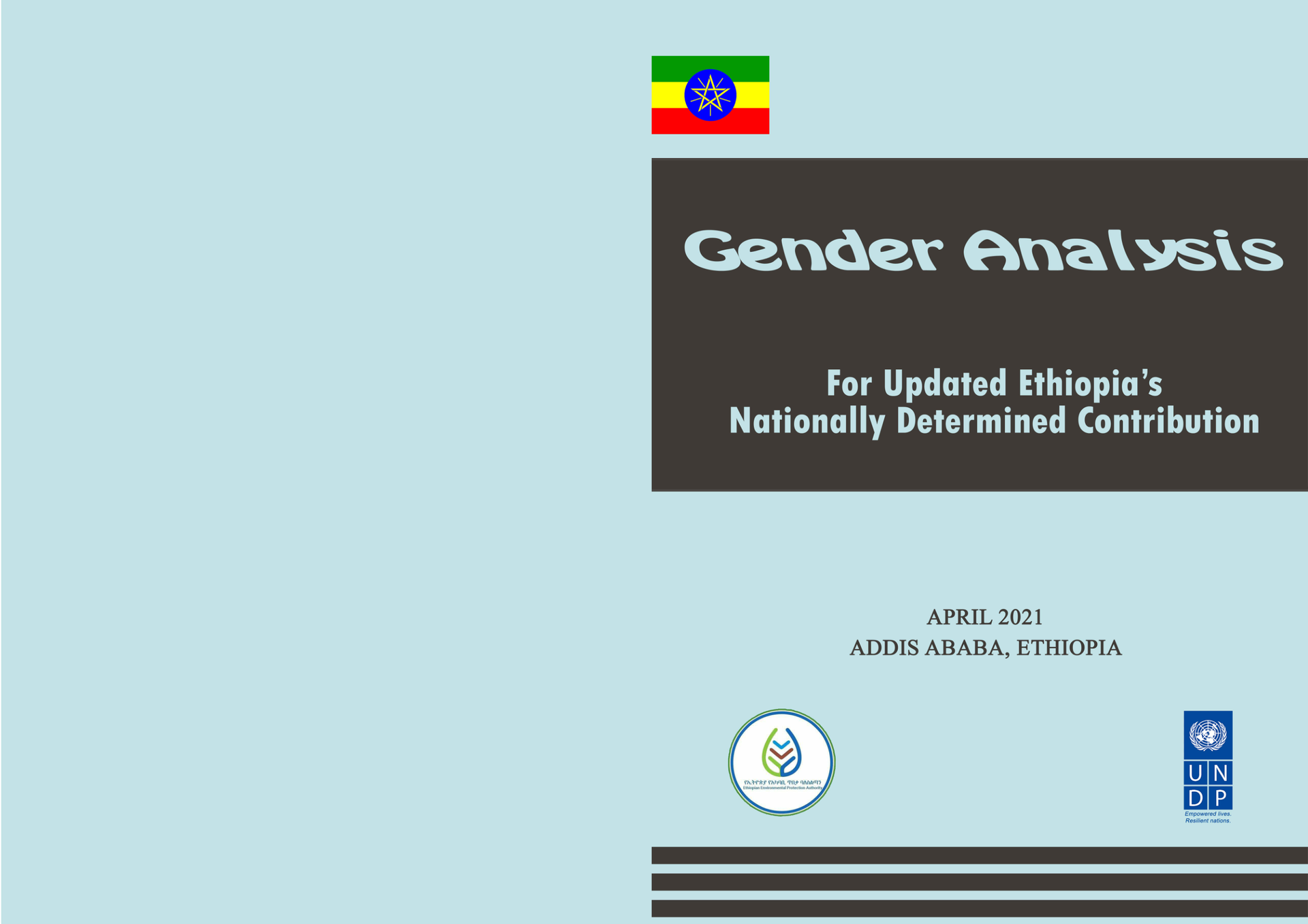 Final Gender Analysis for Updated NDC