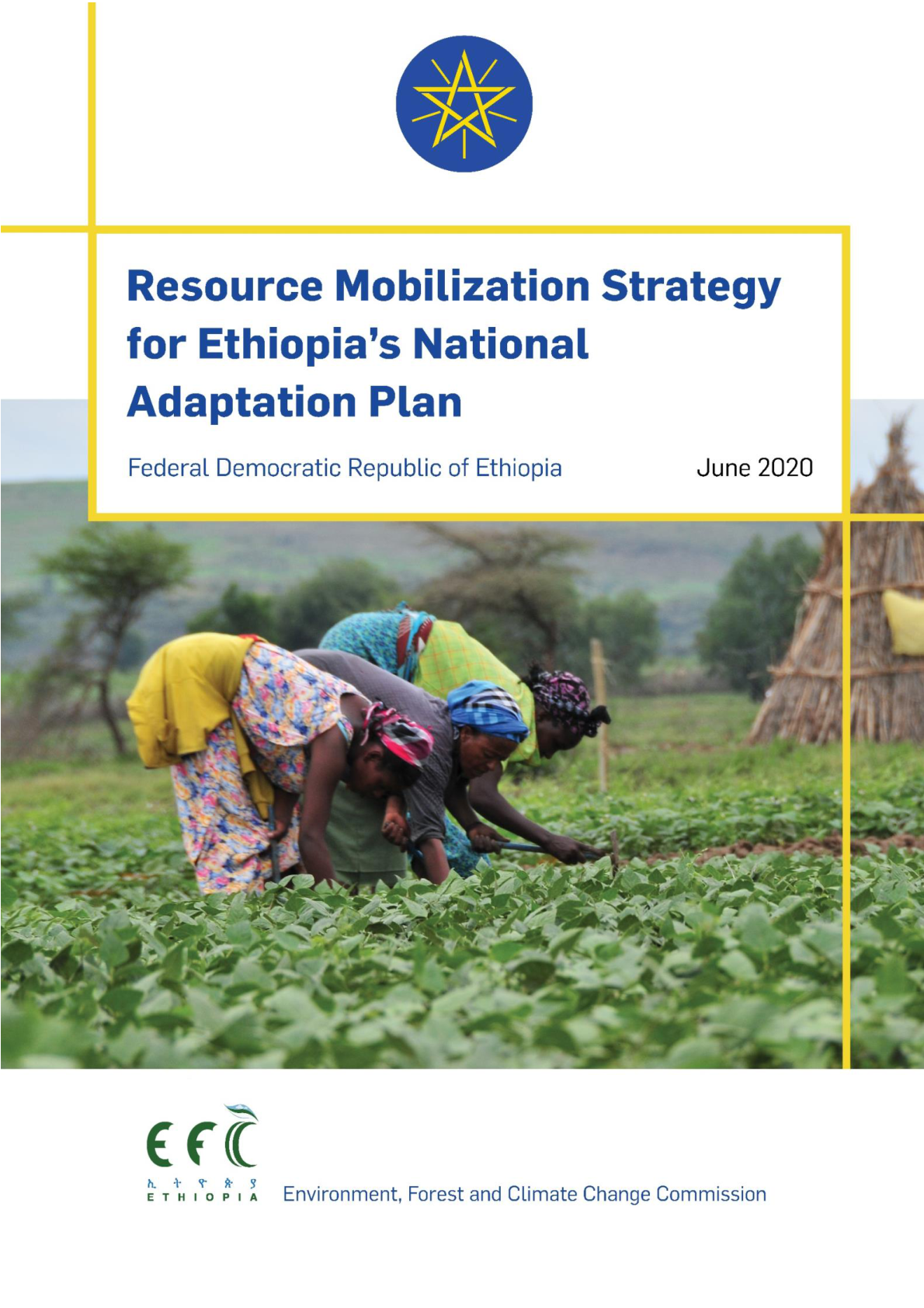 NAP-ETH Resource Mobilization (Final, June 2020)