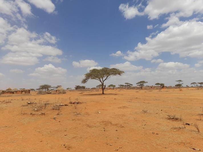 Drought-affected landscape in the Borana zone, October 2022 — single acacia tree on dry, eroded soil with distant village huts and scattered clouds.