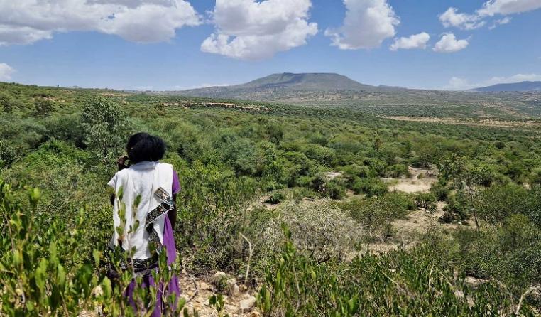 Restored Ethiopian highland landscape — a person looking out over lush green hills regenerated under the Green Legacy initiative.