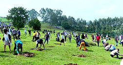 Community members restoring a landscape together
